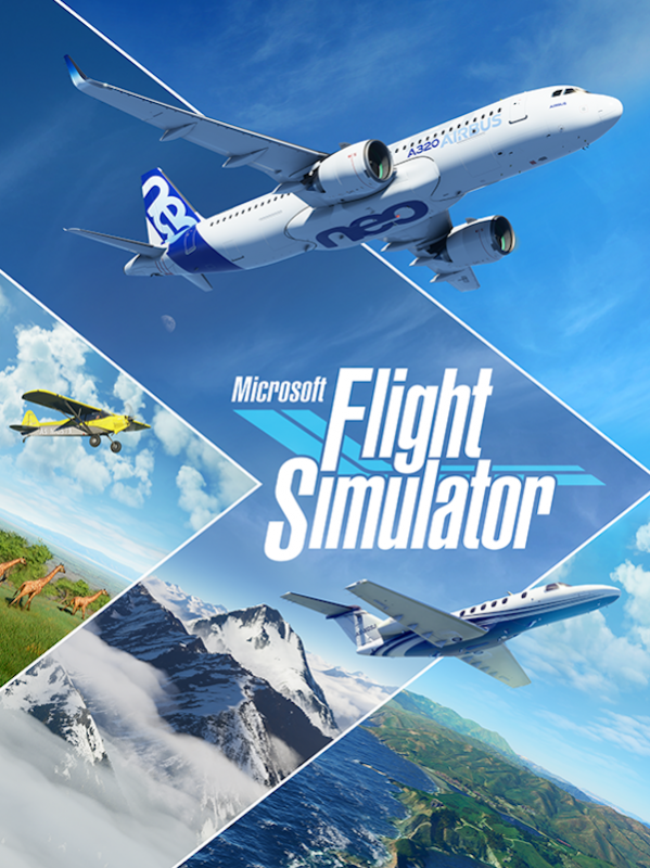 Microsoft Flight Simulator